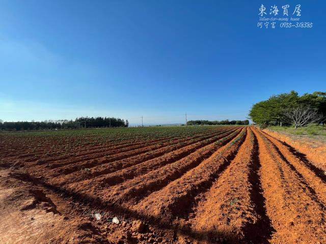 台中沙鹿山坡地-6
