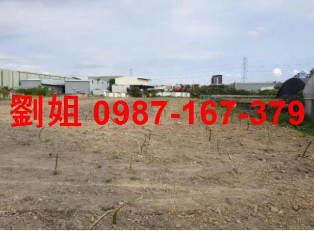 高雄仁武農地-1