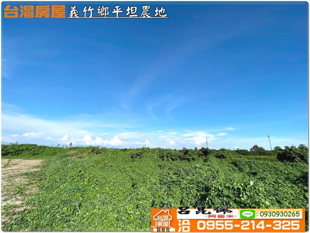 義竹農地-7