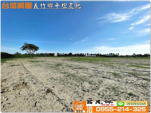 義竹農地-8