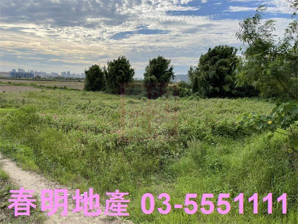 芎林建地-6