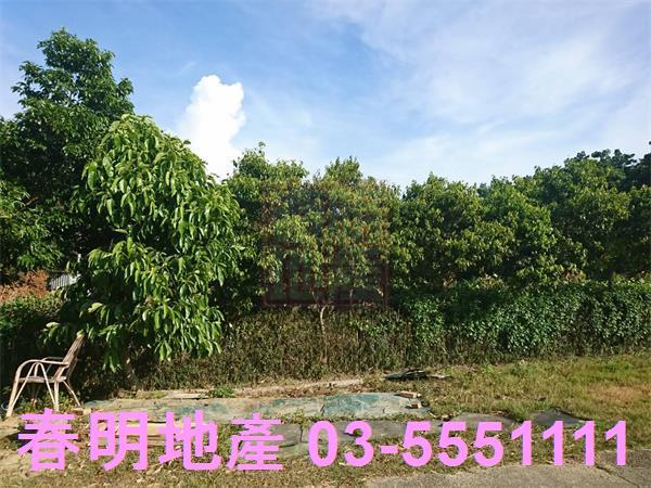 香山農地-3
