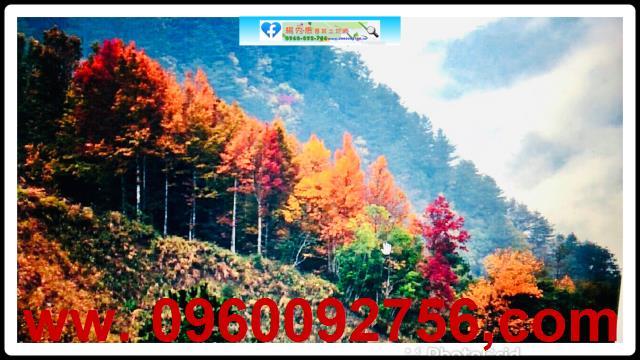 新竹休閒地-2