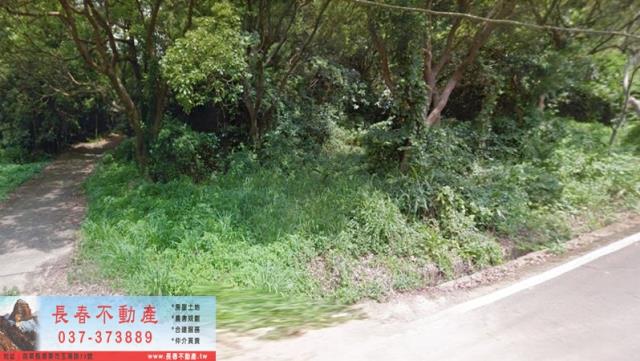 西湖農地-1