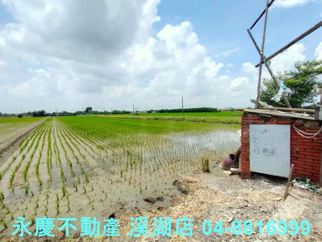 彰化埤頭農地-11