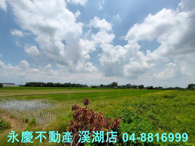 彰化埤頭農地-13