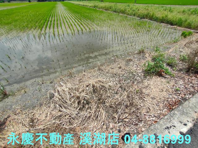 彰化埤頭農地-3