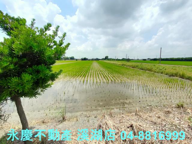 彰化埤頭農地-4