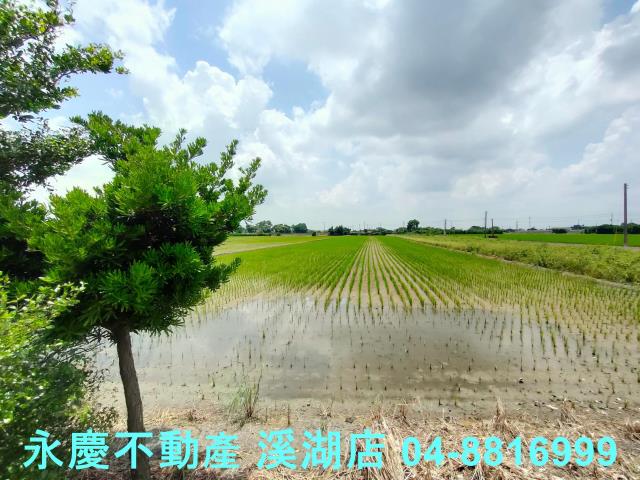 彰化埤頭農地-6