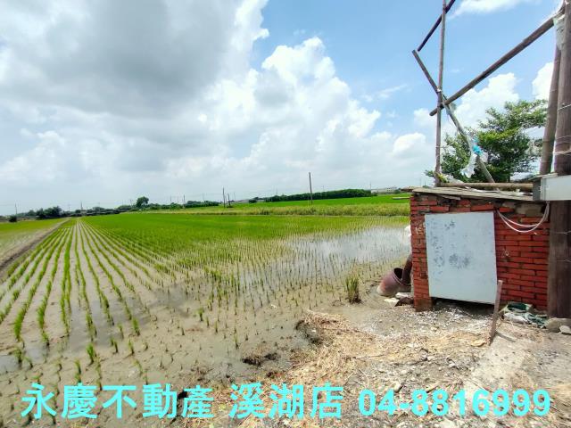 彰化埤頭農地-8
