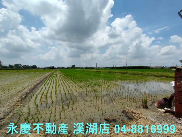 彰化埤頭農地-10