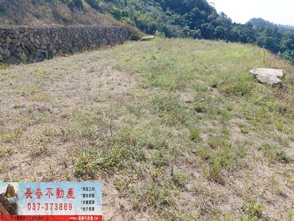 苗栗公館農地-4