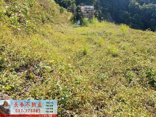 苗栗公館農地-6