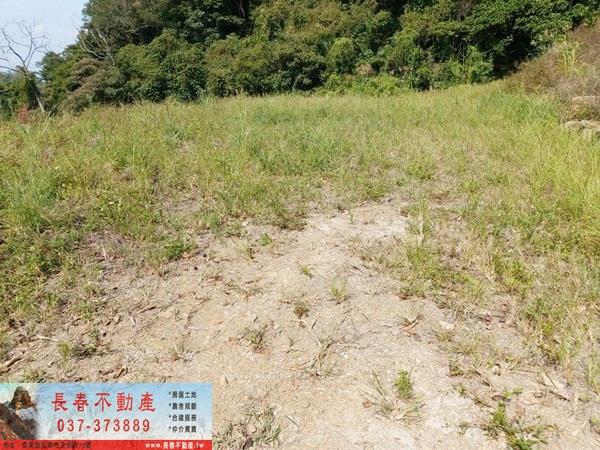 苗栗公館農地-9