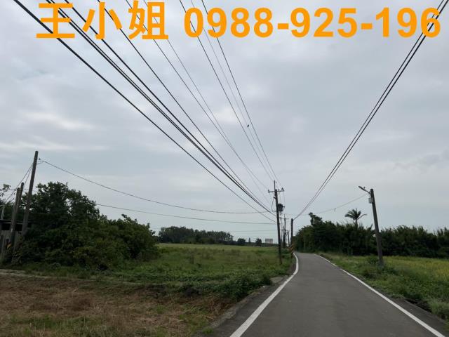 桃園農地-5