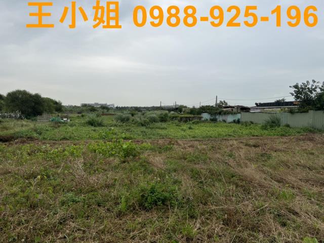 桃園農地-6