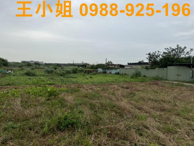 桃園農地-7