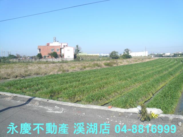 彰化溪湖農地-5