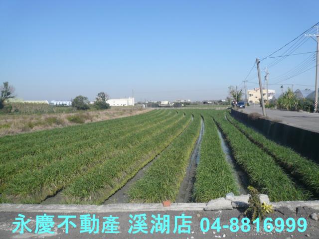 彰化溪湖農地-8