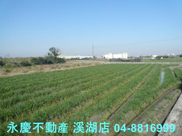 彰化溪湖農地-11