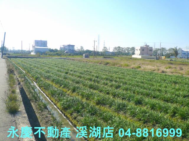 彰化溪湖農地-12