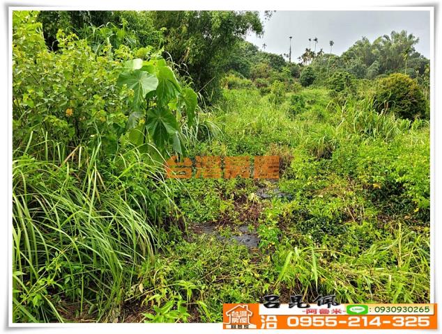 嘉義竹崎農地-5