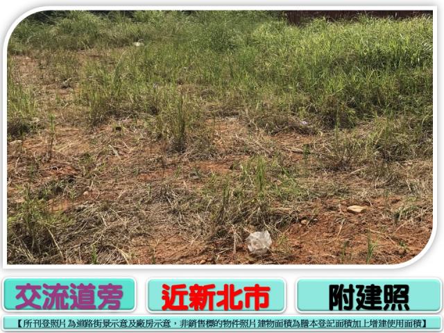 桃園工業地-1