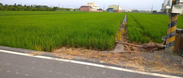 彰化埤頭農地-4
