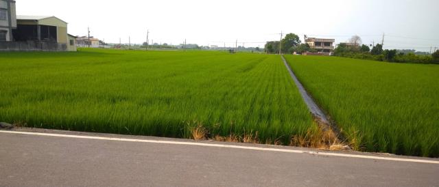 彰化埤頭農地-6