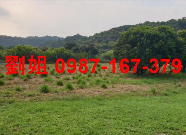 大樹農地-3