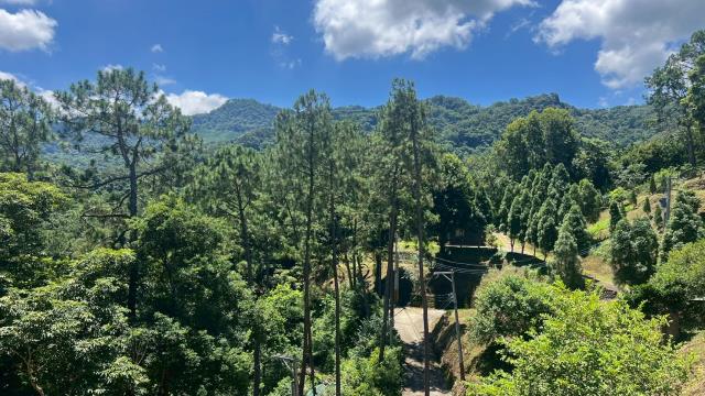 新竹農地-14