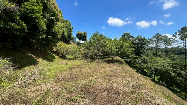 新竹農地-1