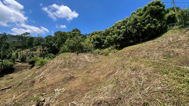 新竹農地-7