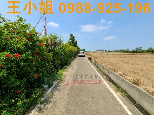 桃園觀音農地-1