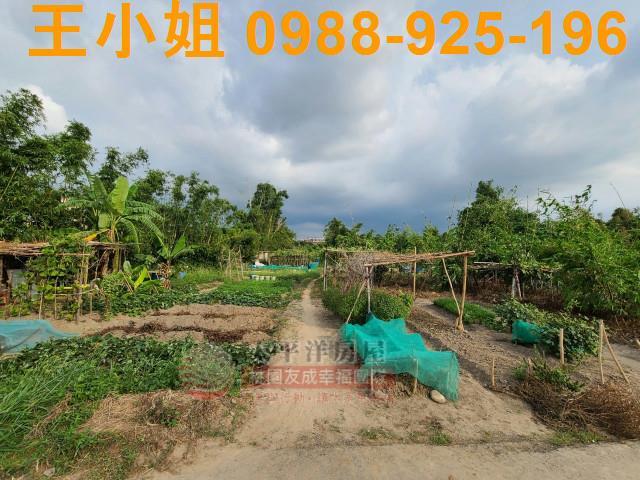 桃園平鎮農地-5