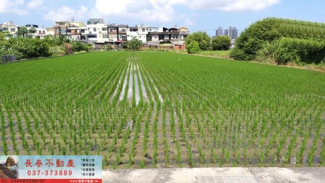 苗栗農地-1