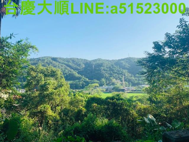 新埔山坡地-1