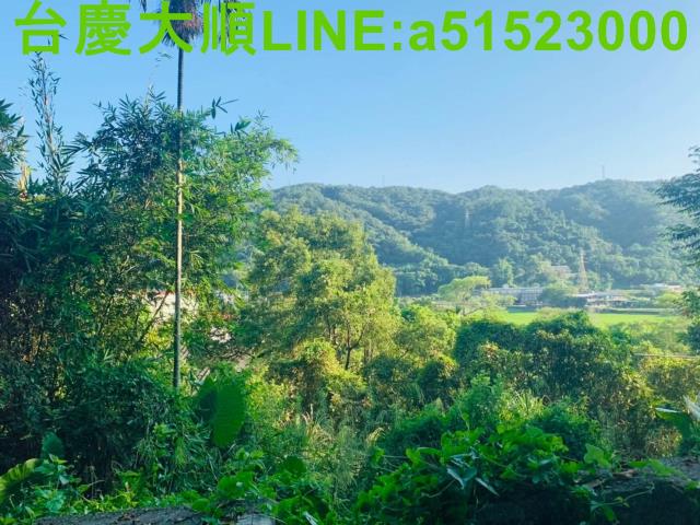 新埔山坡地-2