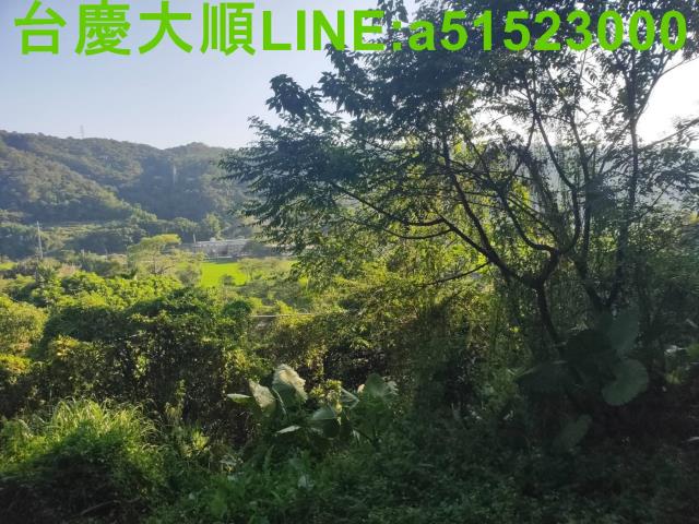 新埔山坡地-7