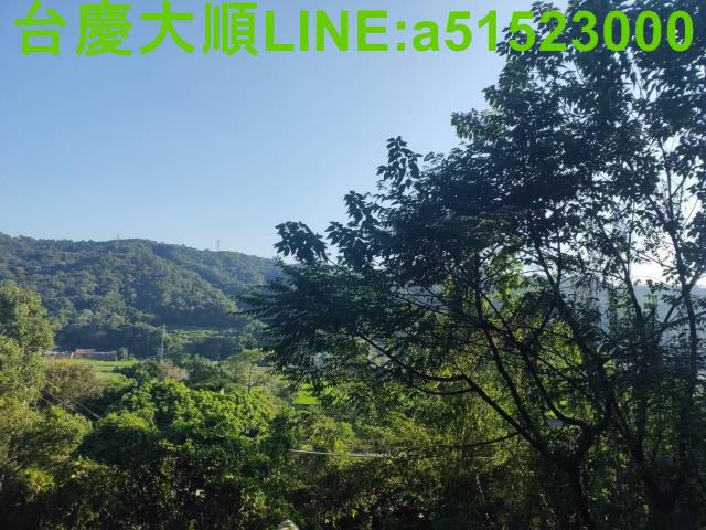 新埔山坡地-8