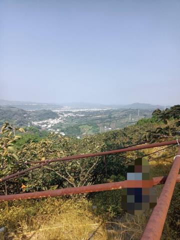 東勢山坡地-1