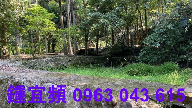 南庄農地-11