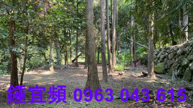 南庄農地-15