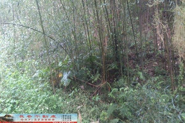 苗栗大湖農地-5