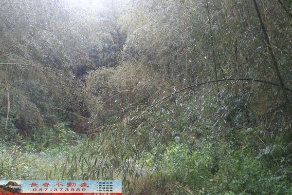 苗栗大湖農地-6