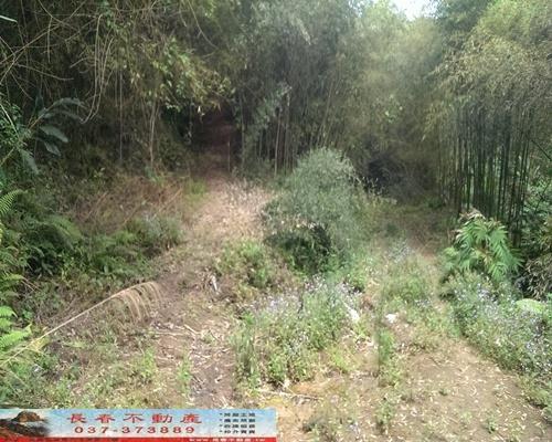苗栗大湖農地-9