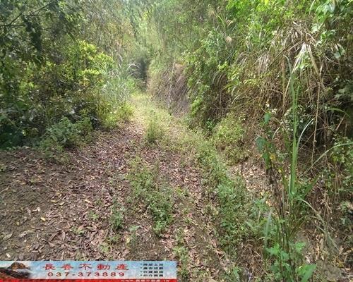 苗栗大湖農地-10