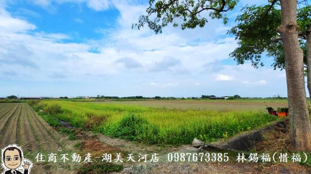 台南農地-8