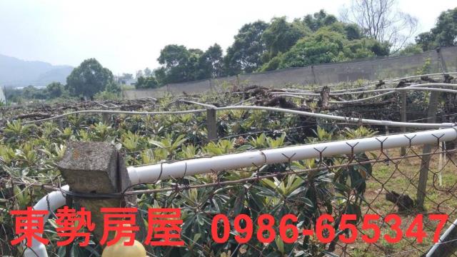 台中新社農地-8