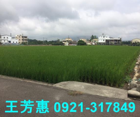 后里農地-1